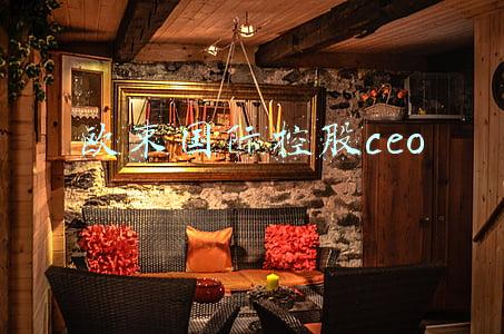 欧束国际控股ceo