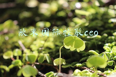 欧束国际控股ceo