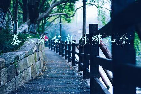 基本办公软件哪几个