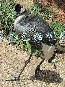 营业成本包括哪些费用
