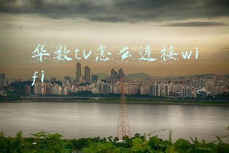 华数tv怎么连接wifi