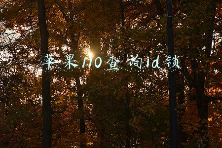 苹果110查询id锁