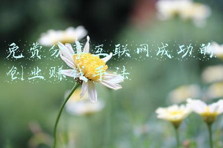 免费分享互联网成功的创业赚钱手法