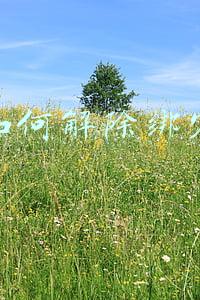 滴滴如何解除绑定车辆