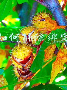滴滴如何解除绑定车辆