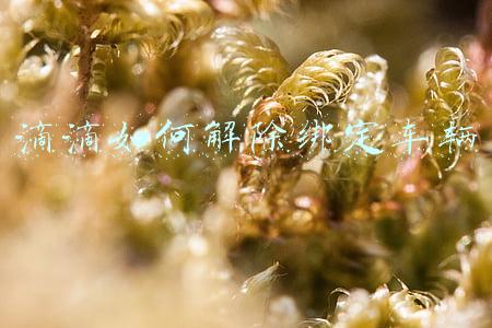 滴滴如何解除绑定车辆