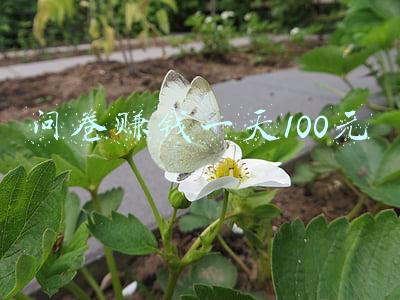第一问卷调查网一天赚多少钱(辽宁开展疫情防控满意度调查，居民担心疫情影响收入等问题)