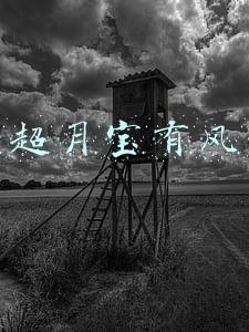 国寿超月宝有风险吗