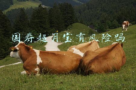 国寿鑫缘宝(中国人寿2021年十大寿险理赔案例)