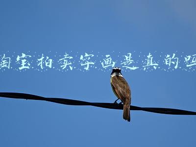淘宝拍卖字画是真的吗