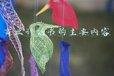 商业计划书的主要内容