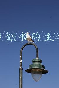 商业计划书的主要内容