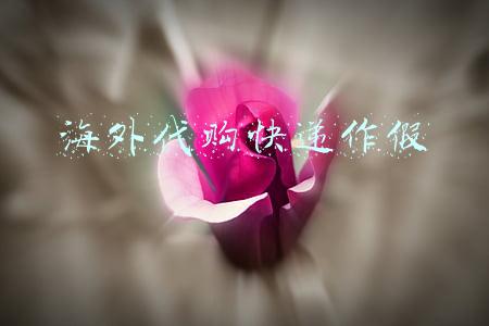 海外代购快递作假
