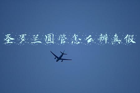 圣罗兰圆管怎么辨真假