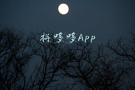 拼哆哆App