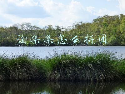 淘集集怎么拼团