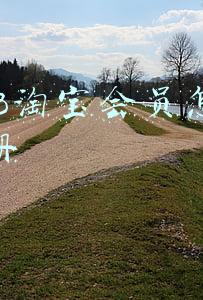 1688淘宝会员怎么注册