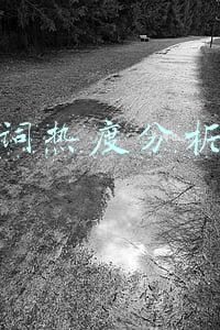 关键词热度分析工具