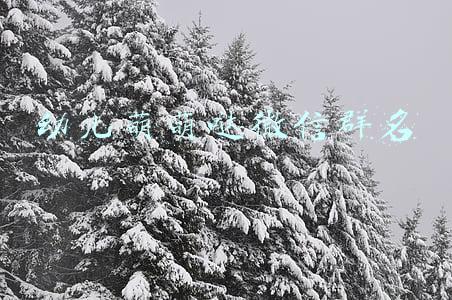 幼儿萌萌哒微信群名