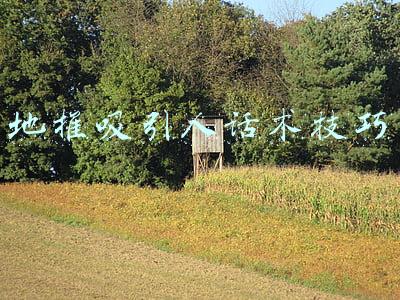 地推吸引人话术技巧