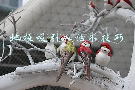 地推吸引人话术技巧