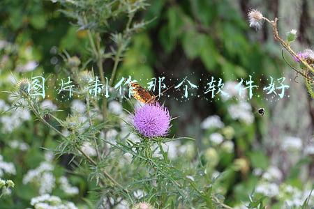 图片制作那个软件好