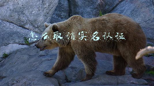 怎么取消实名认证