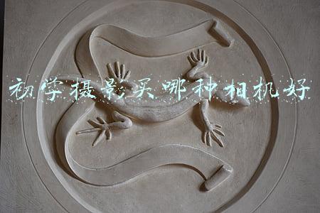 初学摄影买哪种相机好