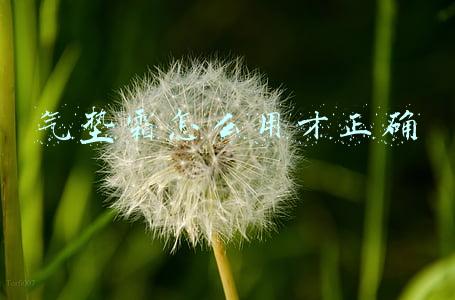 气垫霜怎么用才正确