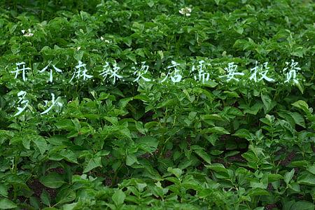 开个麻辣烫店需要投资多少