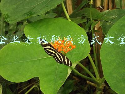 西安企业老板联系方式大全(薛清军会见陕西华鑫特种钢铁集团有限公司董事长卓宝奇、西安铁均钢结构有限公司总经理陈永峰一行)