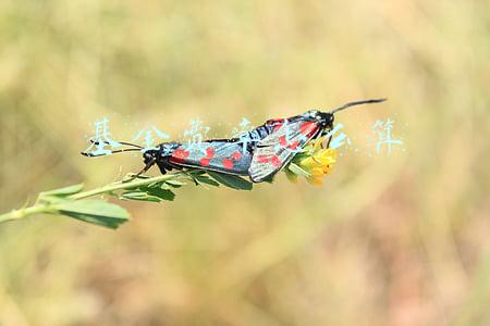 基金费率怎么算