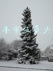 顺丰市值多少亿
