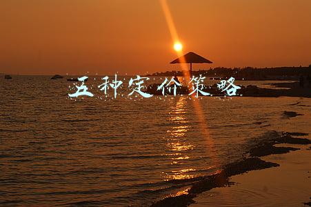 五种定价策略