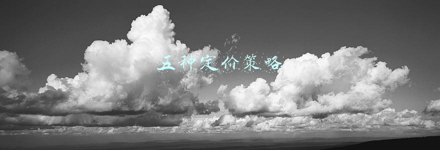 五种定价策略