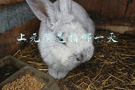 上元节是指哪一天