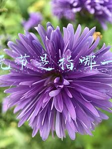 上元节是什么意思是哪一天(元宵节又叫上元节，上元节天气晴好还是下雨好？看看农谚怎么说)