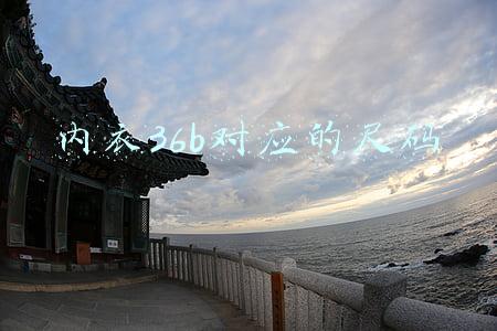 内衣36b对应的尺码