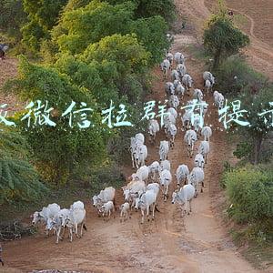 新版微信拉群有提示了