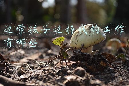 怎样边带孩子边挣钱(宝妈如何一边带娃，一边赚钱)