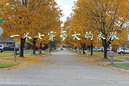 一米七穿多大的衣服