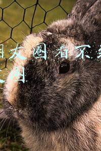 微信朋友圈看不到朋友的朋友圈