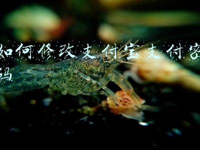 华为手机如何修改支付宝支付密码(你的快递信息被泄露过吗？《个人信息保护法》11月1日施行)
