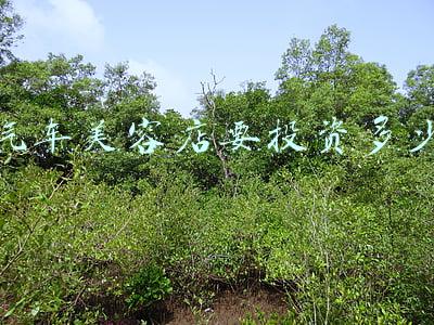 开汽车美容店大概要投资多少,汽车美容店投资多少