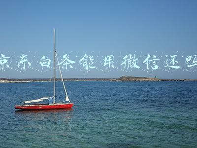 京东白条能用微信还吗