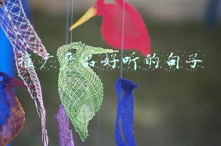 推广产品好听的句子