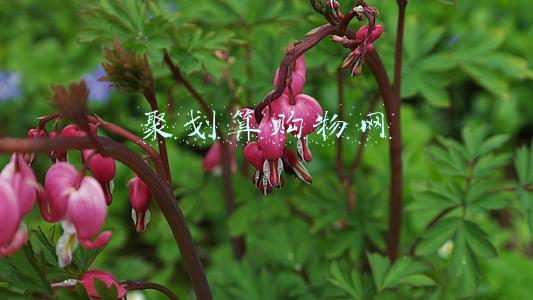 聚划算购物网
