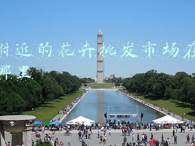 附近的花卉批发市场在哪里