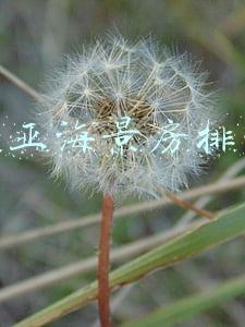 三亚海景房排名