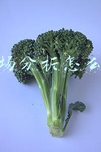 市场分析怎么做
